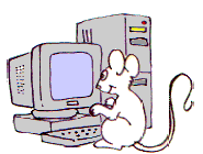 a mouse on a computer
